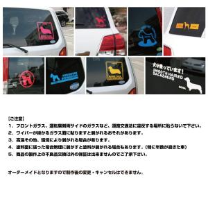 車用 カッティングステッカー 名入れ シルエッ...の詳細画像5