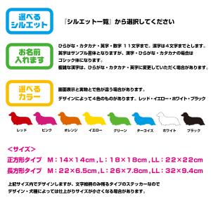 車用 カッティングステッカー 名入れ シルエッ...の詳細画像3