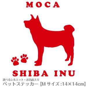 車用 カッティングステッカー 名入れ シルエット...の商品画像
