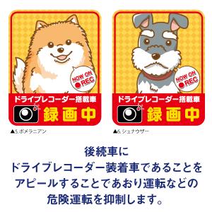 あおり運転対策 ドライブレコーダー 搭載 マグ...の詳細画像3