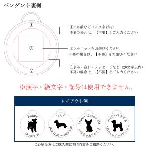【金属アレルギー対応】遺骨ペンダント モダンサ...の詳細画像5