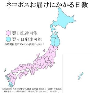 個数限定 ペット 遺骨カプセル キーホルダー ...の詳細画像4