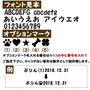 1行刻印入り ペット 遺骨ミニカプセル【全2色...の詳細画像4