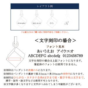 【金属アレルギー対応】遺骨ペンダント ステンレ...の詳細画像5