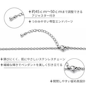 遺骨ペンダント ステンレス製 モダンサークル ...の詳細画像3