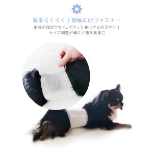 ペット用品 トイレ用品 犬 オムツ オス 業務...の詳細画像3
