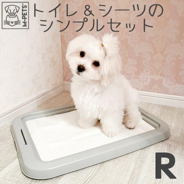 ペット用品 犬 子犬 小型犬 トイレ トイレトレー M-PETS ドッグトイレスターターキット レギ...