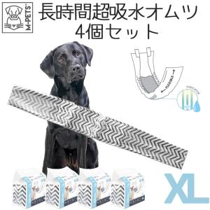 爆買ウルトラSALE トイレ用品 犬 オムツ オス M-PETS 男の子用オムツ XLサイズ 12枚入 4個セット｜ペットグッズ専門店Petifam
