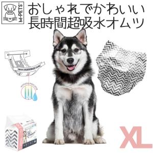 トイレ用品 犬 オムツ メス M-PETS 女の子用オムツ XLサイズ 10枚入｜ペットグッズ専門店Petifam