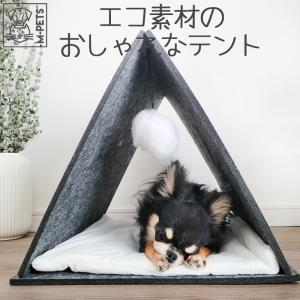 犬猫用)1秒電子耳体温計 Pet-Temp PT-300（62165） : 大型犬用品専門店