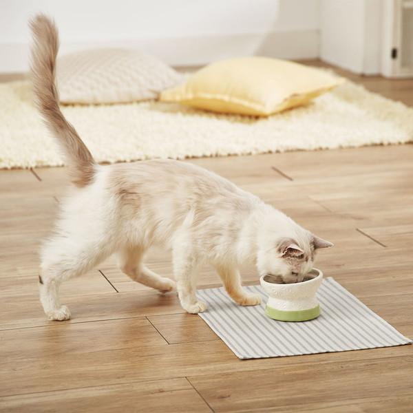 猫用食器 アドメイト Add.Mate フードがこぼれにくい脚付き陶器食器 ドライフード向き