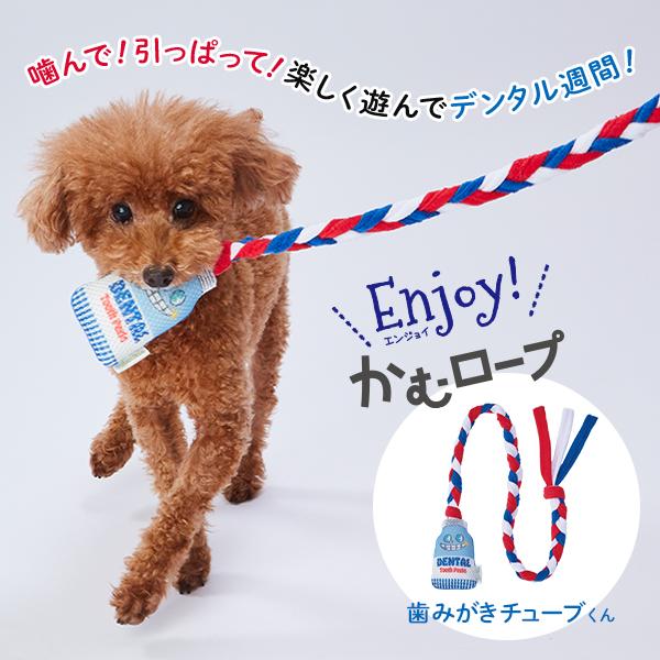 アドメイト Add.Mate 犬用おもちゃ Enjoy!かむロープ 歯みがきチューブくん 超小型犬〜...
