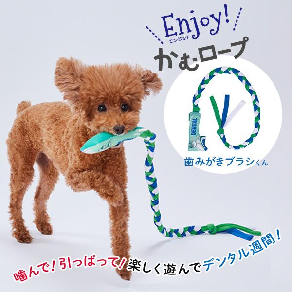 アドメイト Add.Mate 犬用おもちゃ Enjoy!かむロープ 歯みがきブラシくん 超小型犬〜小...