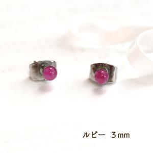 レッドコーラル／赤珊瑚 フェザー ピアス シルバー925 インディアン