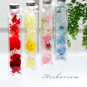 ハーバリウム 角瓶 プレゼント ギフト おしゃれ お見舞い ３０代 ４０代 ５０代 ６０代 先生お礼 インテリア フラワーギフト お祝い お花 雑貨 カーネーション