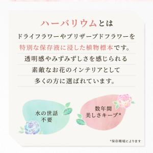 ピンク ハーバリウム 誕生日 瓶 ボトル プレ...の詳細画像2