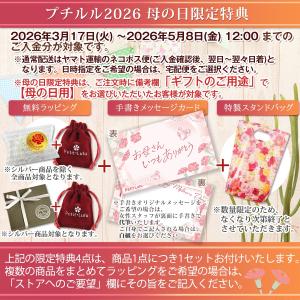 ピアス レディース アクセサリー スワロフスキ...の詳細画像4