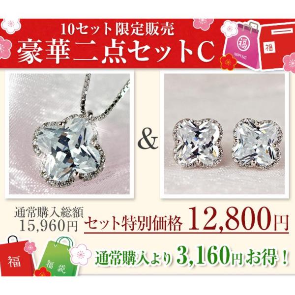 2024年福袋 ネックレス ピアス レディース 福袋 豪華二点セットC　10セット限定