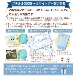 ピアス フープピアス ホワイトデー お返し レ...の詳細画像4