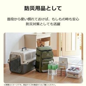 ペットキャリーDX60 L 犬 小型犬 キャリ...の詳細画像3