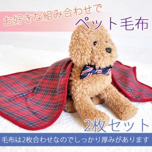 ペット毛布 ペットブランケット 2枚セット 50×70cm  オールシーズン ひざ掛けにも プチリュバン 犬 猫 小動物 レターパック