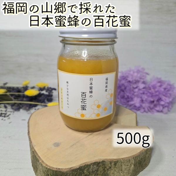 日本蜜蜂　百花蜂蜜　500g　ポイントUp　国産　幻のはちみつ　希少　ニホンミツバチ　百花　爆買