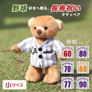 ダッフィー　シンドバッド　キャスト　コスチューム　ぬいぐるみバッジ　25周年 ダッフィー 25周年 シンドバッド キャスト ぬいぐるみ ディズニー コス