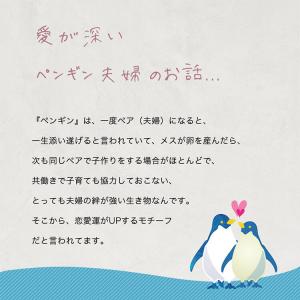 カップル ペア 記念日 プレゼント 結婚祝い ...の詳細画像5