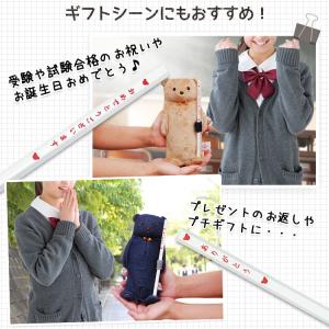 ぬいぐるみペンケース 誕生日プレゼント 筆箱 ...の詳細画像2