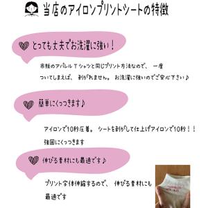 お名前シール 布 小学校 入園 お名前アイロン...の詳細画像2