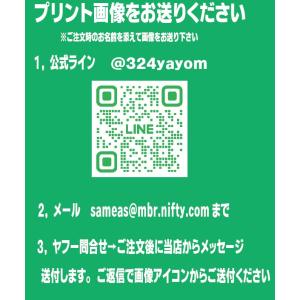 ポロシャツ 名入れ オリジナル 作成 写真 自...の詳細画像4