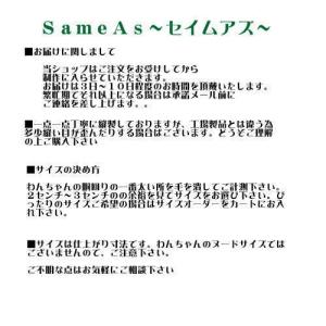 犬 服 夏用 クール 接触冷感 水で濡らす か...の詳細画像4