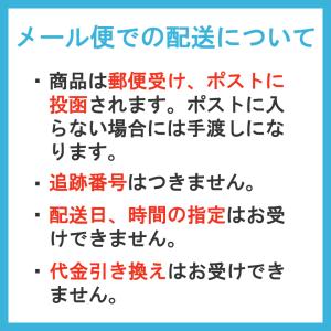 EMS美顔器 ポケスリム face フェイスリ...の詳細画像2