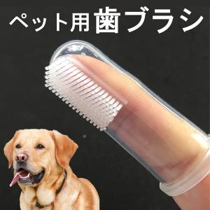 犬 歯ブラシ ペット口腔ケア ペット用歯ブラシ シリコン