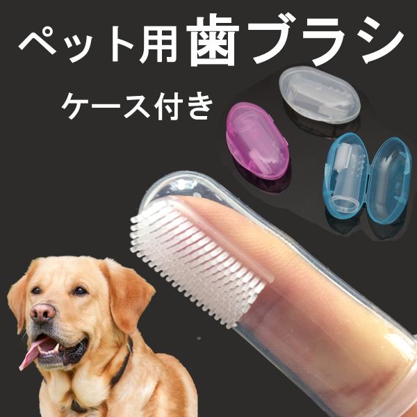 犬 歯ブラシ ペット用 デンタル 口腔ケア 収納ケース付き