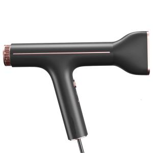 アイネクス Smart Hair Dryer AX-HD1 ドライヤー ヘアドライヤー ハイパワー 大風量 静音 軽量 イオンドライヤー｜petitpresent