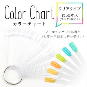 ネイル ジェルネイル スティックタイプカラーチャート クリア...