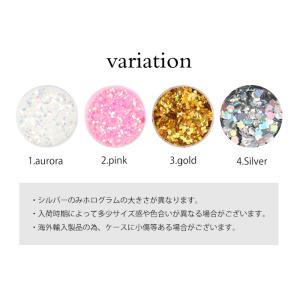 ネイル ジェルネイル ネイルパーツ ラメホロミ...の詳細画像1