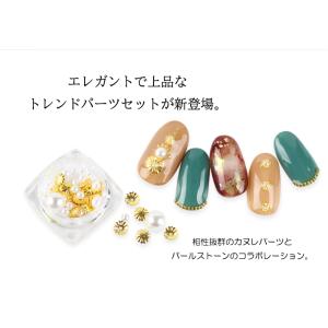ネイル ジェルネイル ネイルパーツ カヌレアソ...の詳細画像2