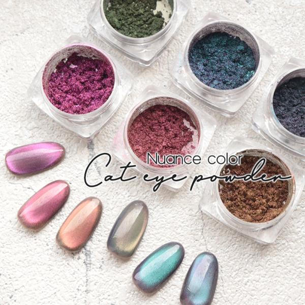 ニュアンスキャットアピパウダー マグネットネイル マグネットパウダー ジェルネイル ジェル ネイル ...