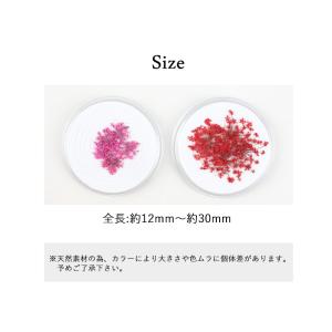 ネイル ジェルネイル ドライフラワー 押し花 ...の詳細画像4
