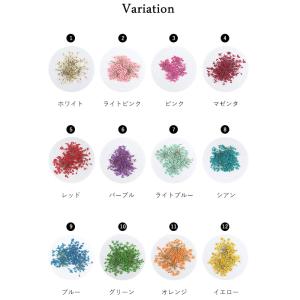 ネイル ジェルネイル ドライフラワー 押し花 ...の詳細画像5