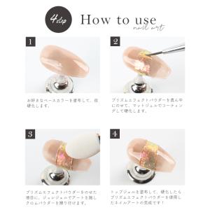 プリズムエフェクトパウダー ジェルネイル ネイ...の詳細画像4