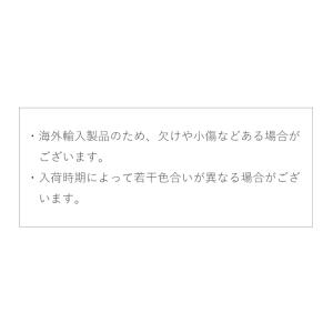 ミニスターホログラム ネイル ジェルネイル ス...の詳細画像5