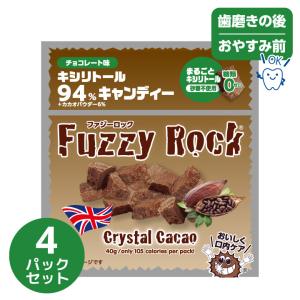 新味 キシリトール あめ キャンディータブレット 虫歯 甘い 歯磨き ノンシュガー FuzzyRock 40g ファジーロック 40g