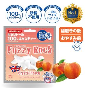 FuzzyRock ピーチ味 キシリトール 100% キャンディー タブレット アメ 虫歯 歯磨き ノンシュガー