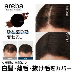 薄毛カバー 抜け毛カバー ヘアファンデーション メンズ ヘアラインメーク 白髪隠し areba 白髪染め 黒 茶 白髪ぼかし 部分白髪染め 白髪隠しポンポン 爆買