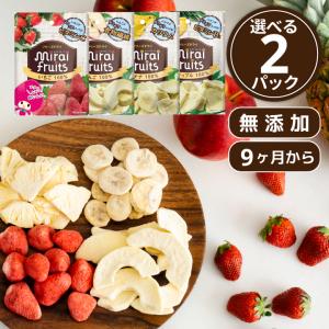 乳児用規格適用食品 フリーズドライフルーツ 無添加 お菓子 離乳食 防災食品 選べる２パック お子様に大人気