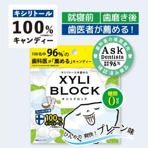 キシリトール 100% オクチプレーン キャンディー あめ タブレット 虫歯