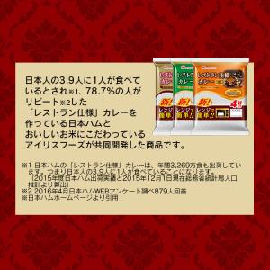 カレー レトルトカレー 中辛 牛肉 170g ...の詳細画像2